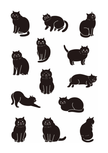 black cat１