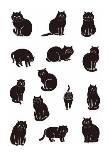 black cat３