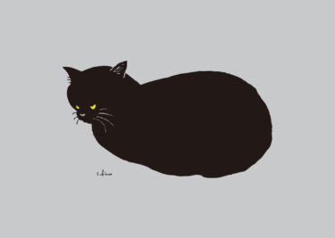 丸まる黒猫