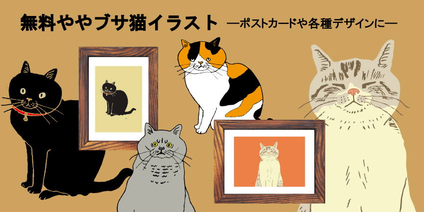 ブサ 猫 画像