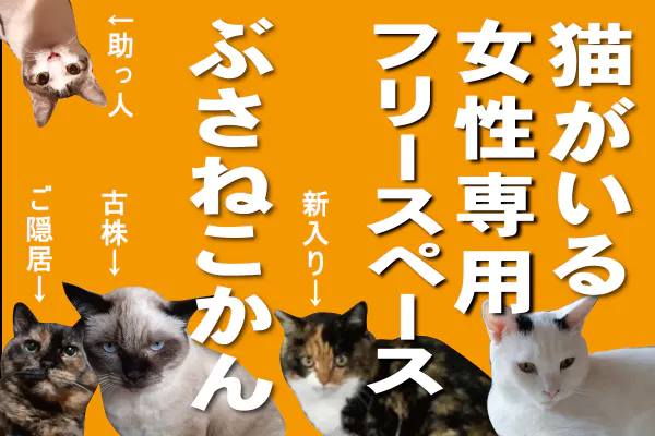 ブサ猫好きのブサ猫好きのためのサイト│ぶさねこかん